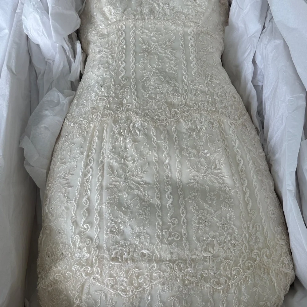 Pronovias Wedding Gown and Veil —Museum quality sealed - Picture 5 of 9
